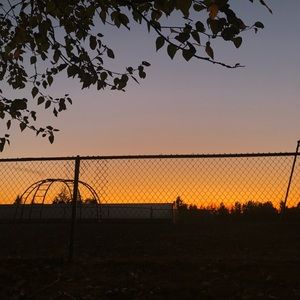 Meet your Posher, Lucy